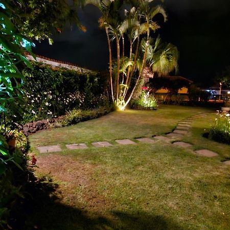 Villa La Paz 2 Puerto de la Cruz  Eksteriør billede