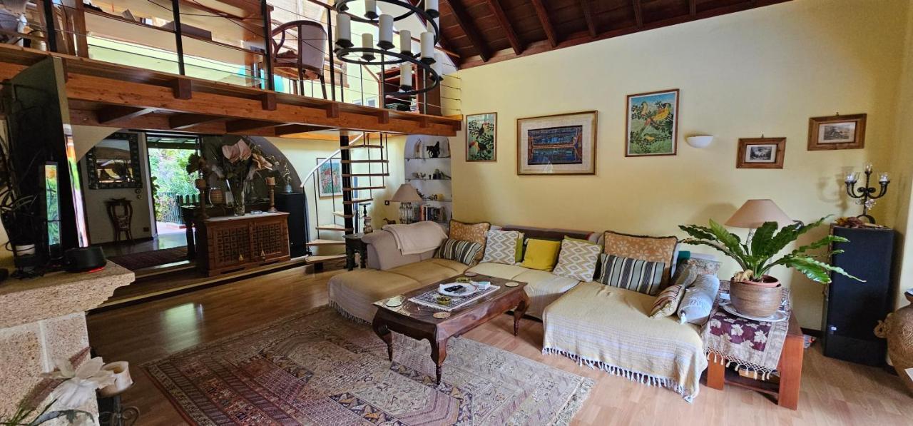Villa La Paz 2 Puerto de la Cruz  Eksteriør billede