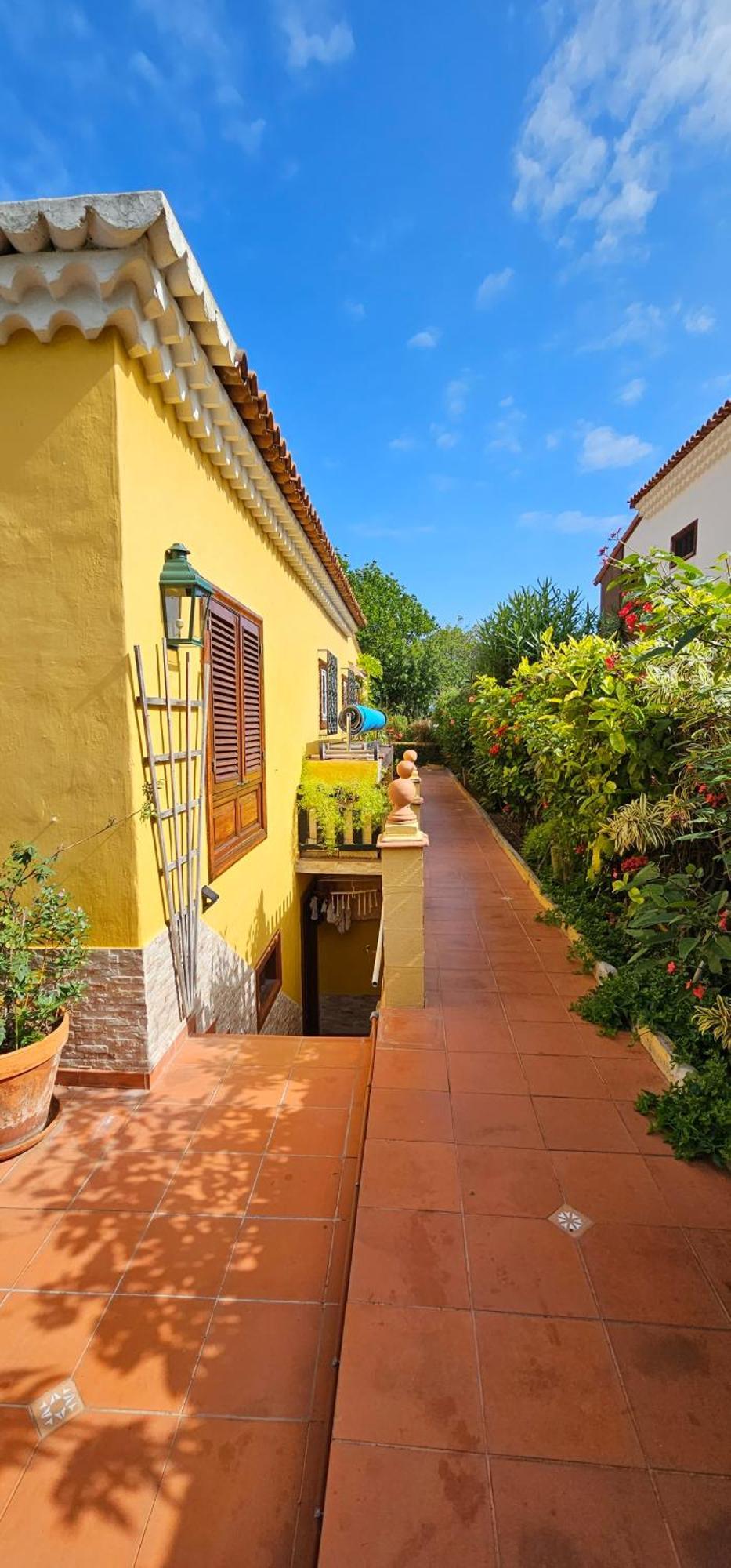 Villa La Paz 2 Puerto de la Cruz  Eksteriør billede