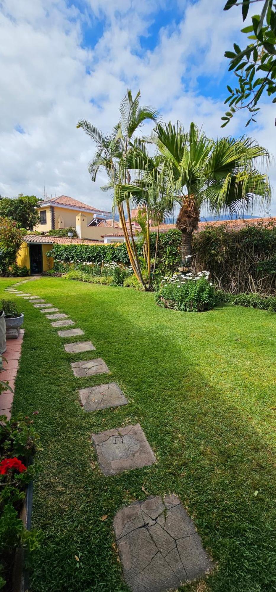 Villa La Paz 2 Puerto de la Cruz  Eksteriør billede